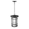 Z-Lite Jordan 1 Light Outdoor Chain Mount Ceiling Fixture, Black And Clear Seedy 570CHB-BK - alternate 2